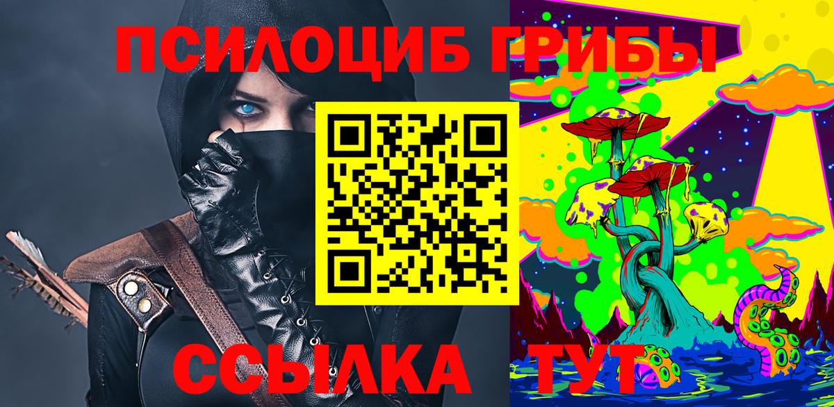 Галлюциногенные грибы Cubensis Борзя